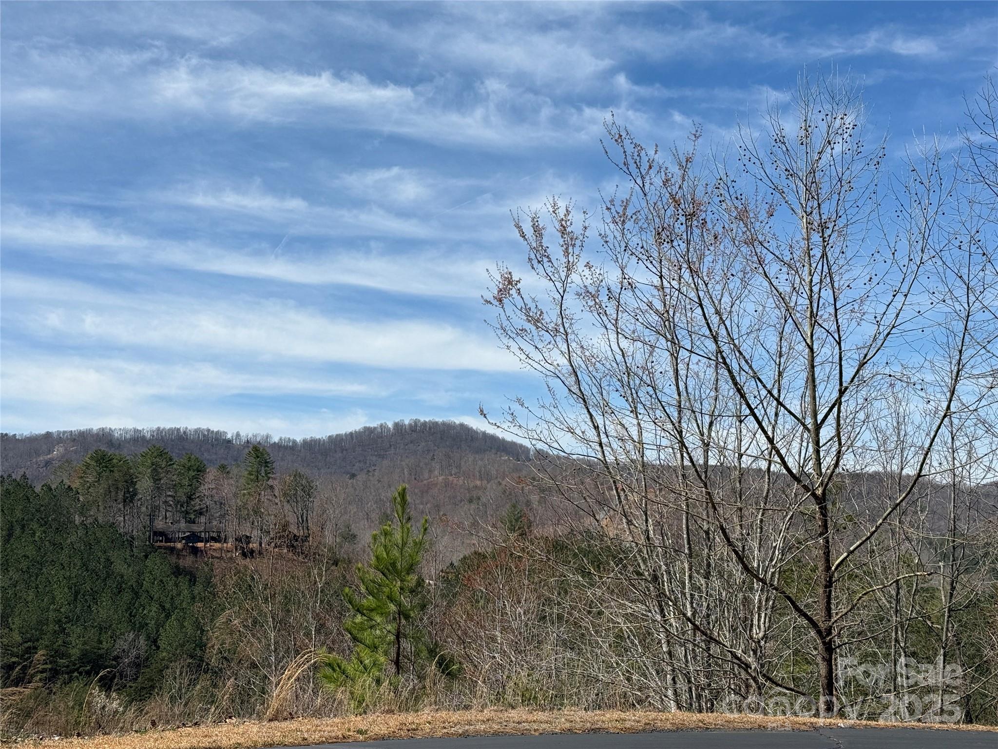 0 Pinegrove Drive