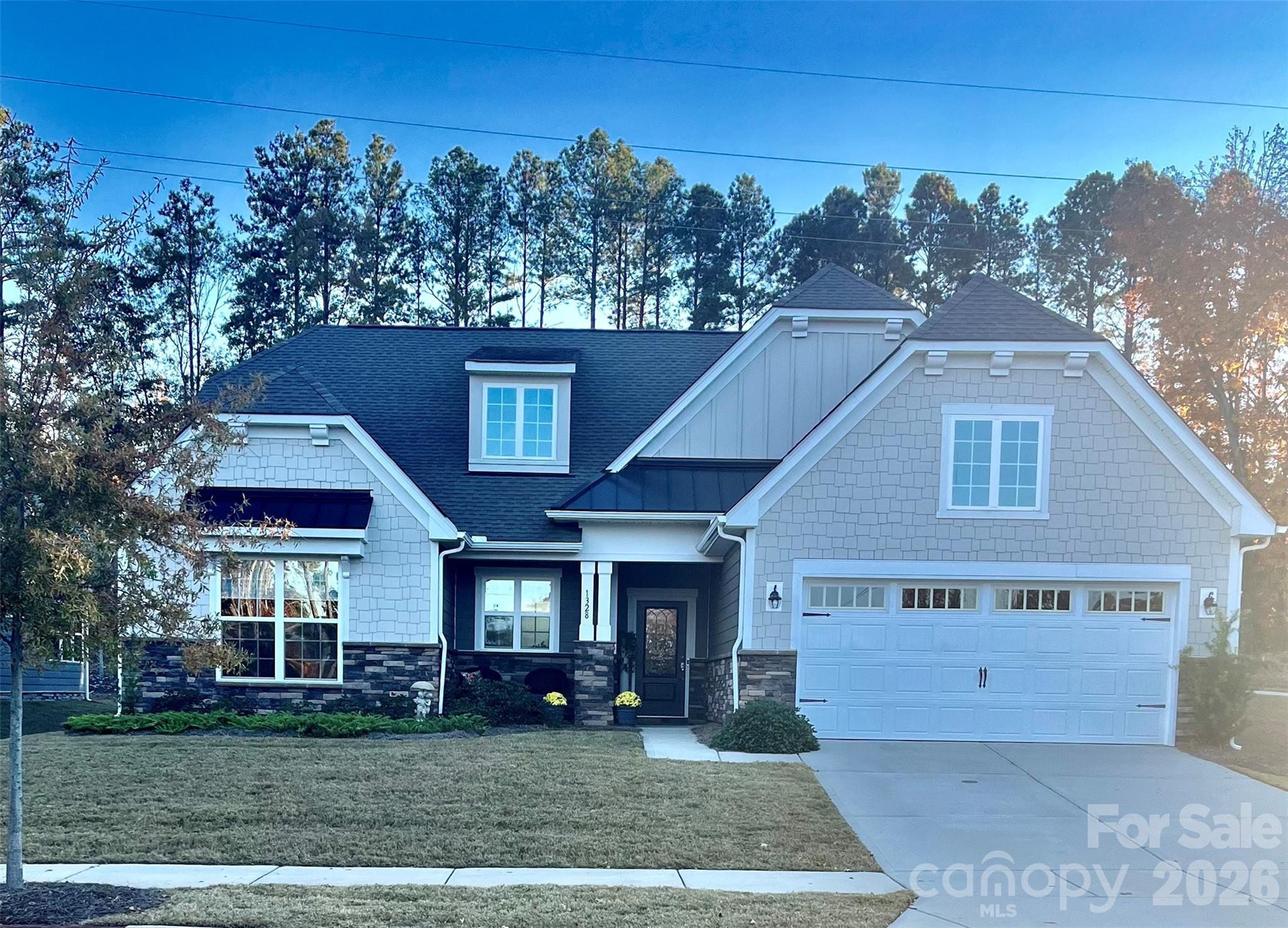 Imagery On Mtn Island - Residential