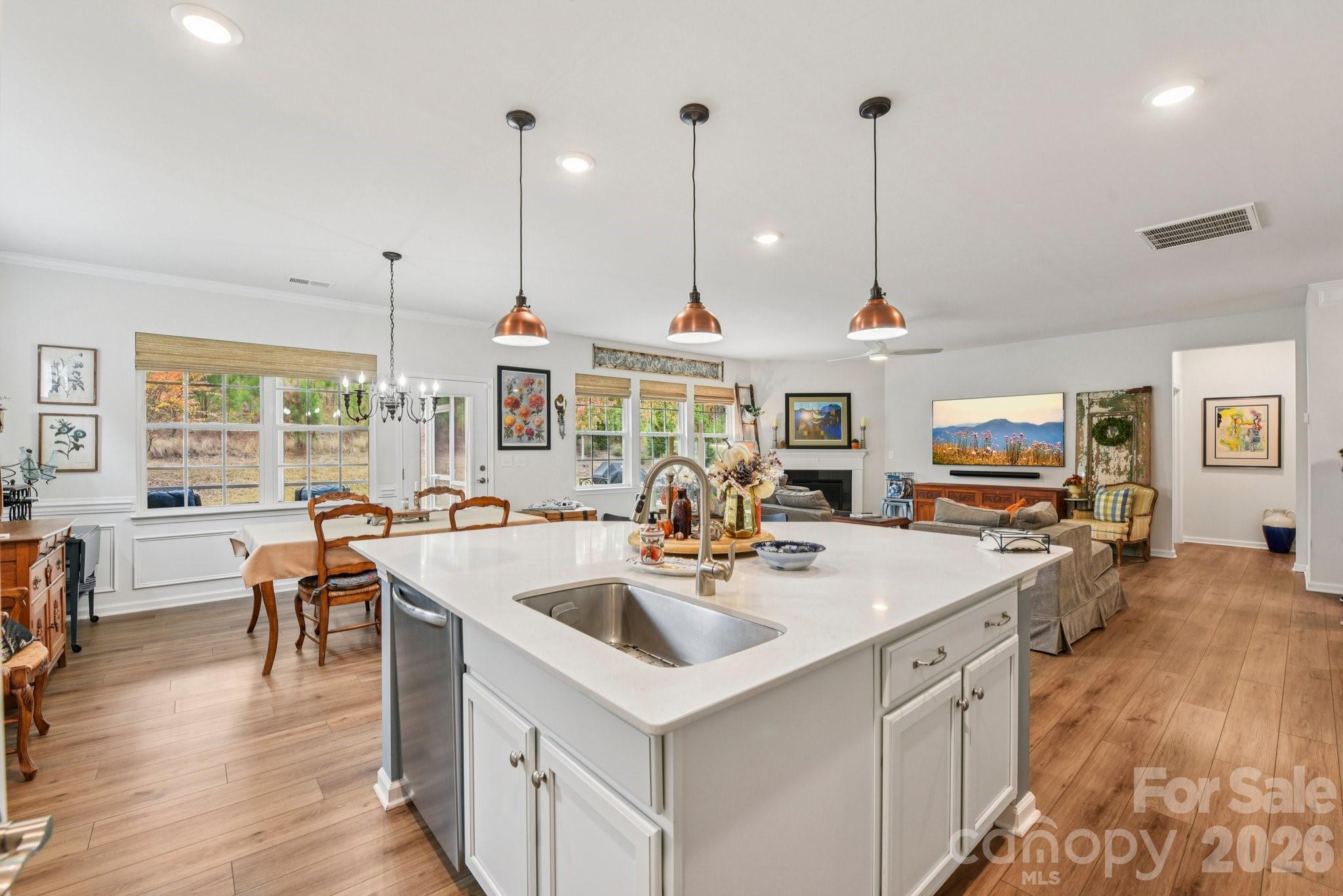 Imagery On Mtn Island - Residential