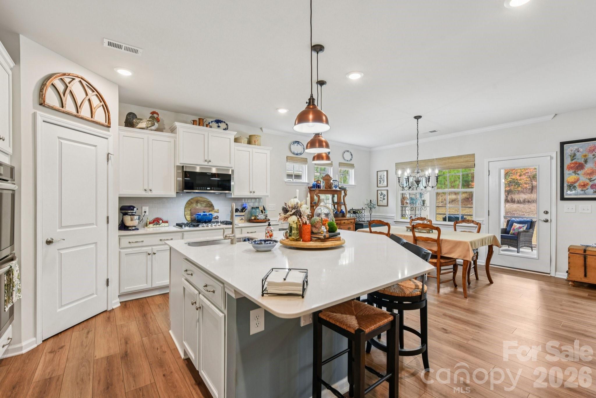 Imagery On Mtn Island - Residential