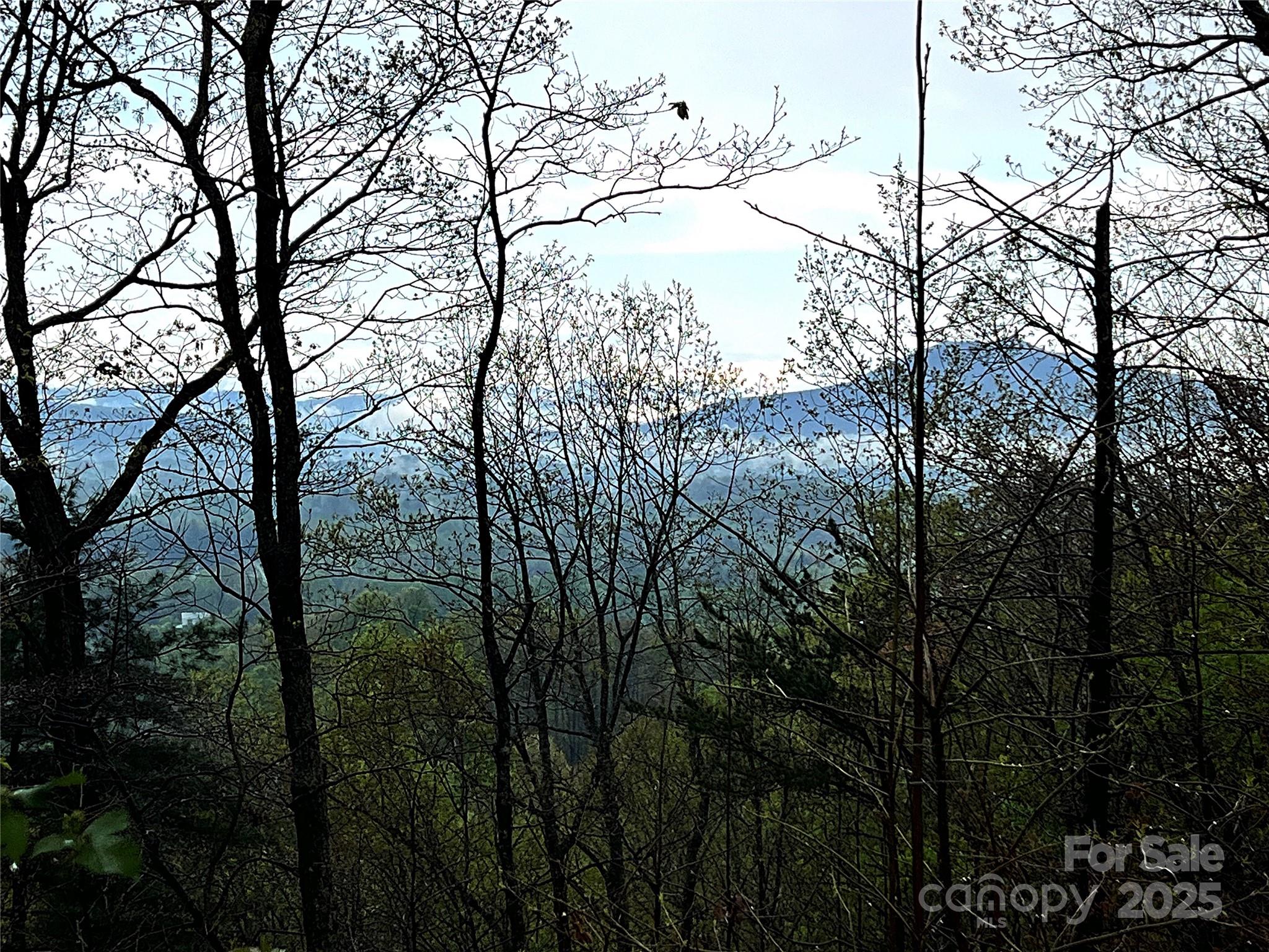 00 Scenic View Drive 150