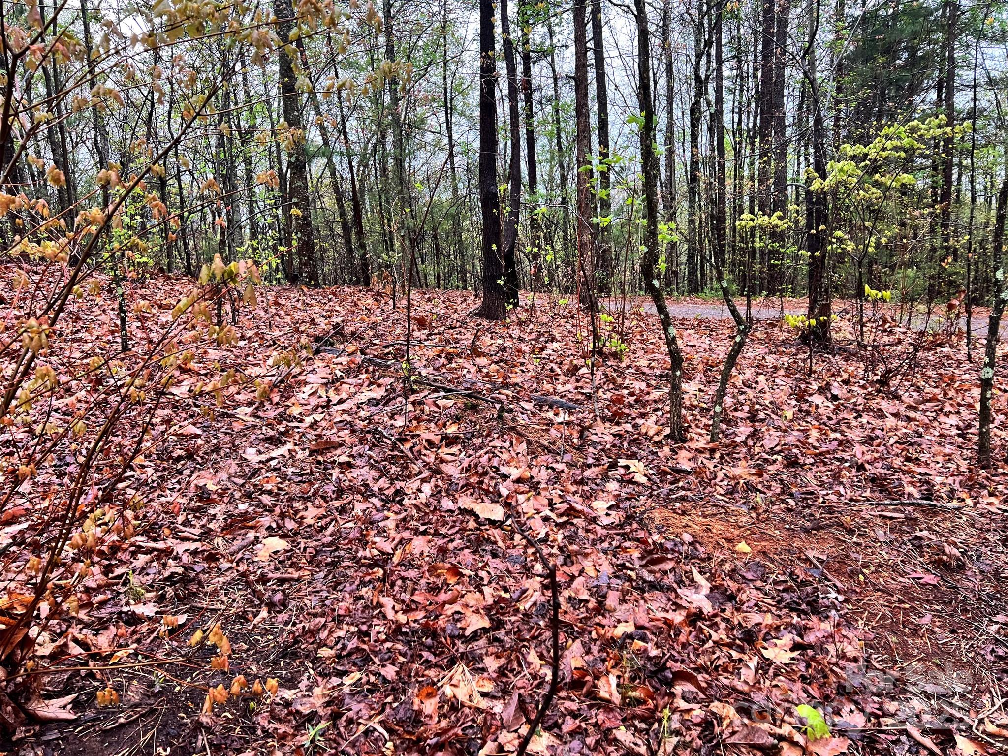 00 Scenic View Drive 150