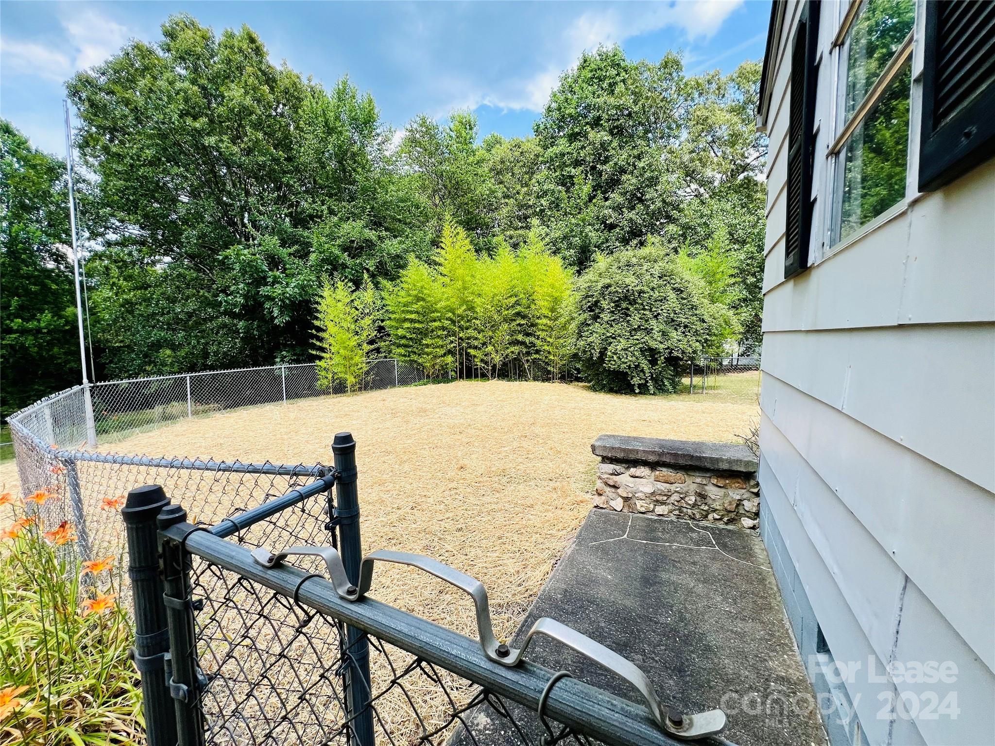 None - Residential Lease