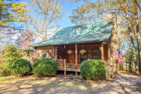 87 Prater Cove Road Franklin NC 28734