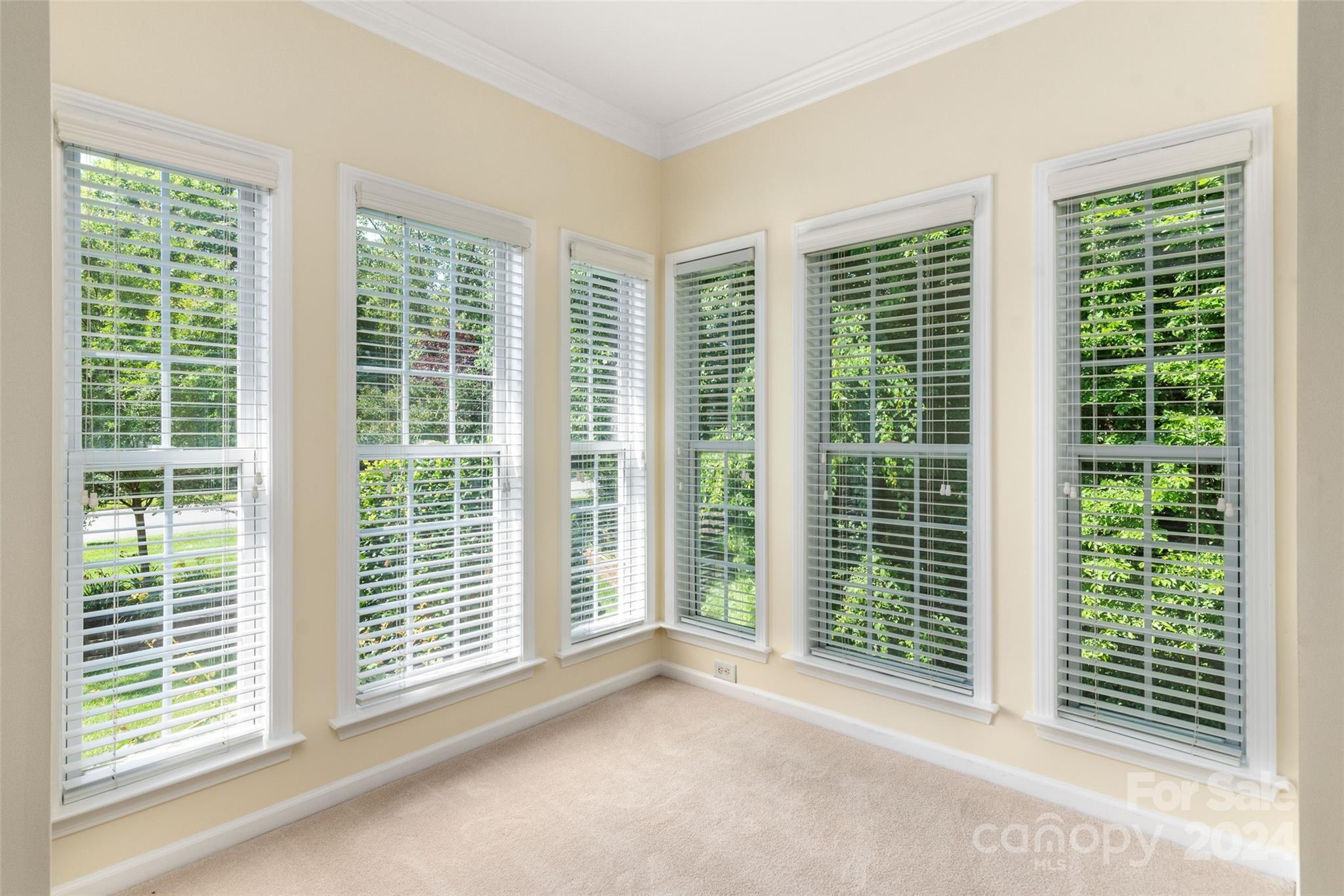 Olde Sycamore - Residential