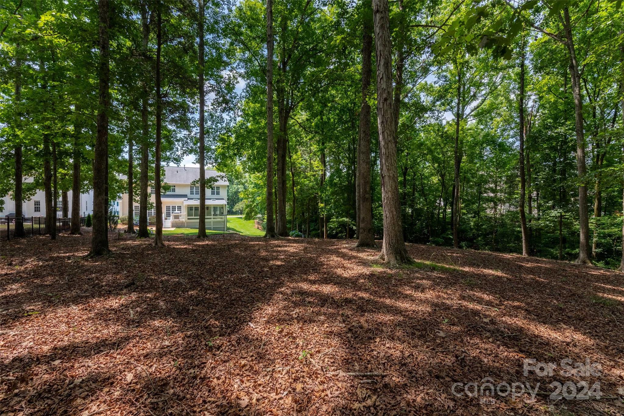 Olde Sycamore - Residential