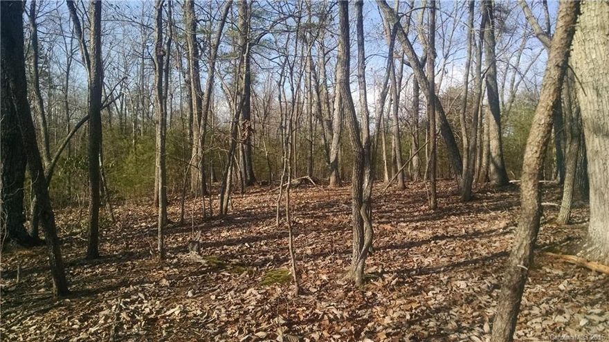 Very private, wooded building site, over 11 acres, part of Fox Haven, restrictions to protect your investment. Excellent opportunity to create your own private retreat where you can relax and enjoy nature - and - it's only 6.5 miles from Tryon International Equestrian Center.