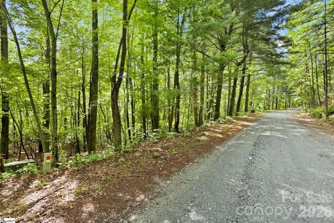 430 N Lakeview Drive Tryon NC 28773