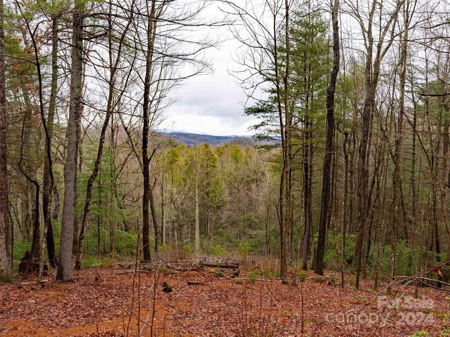 Come check out this beautiful 1.61 luscious acre lot that is nestled in the Riverwood Trails Subdivision! There is a 4BR Septic Permit on file (from 2/22). Located close to I-26, Hendersonville & Saluda! This lot would be a great place to build your mountain dream home! Take advantage of the peaceful surroundings and privacy, while being so convenient to great restaurants & entertainment! There are great hiking trails, kayaking on the Green River & other adventures awaiting, close by!