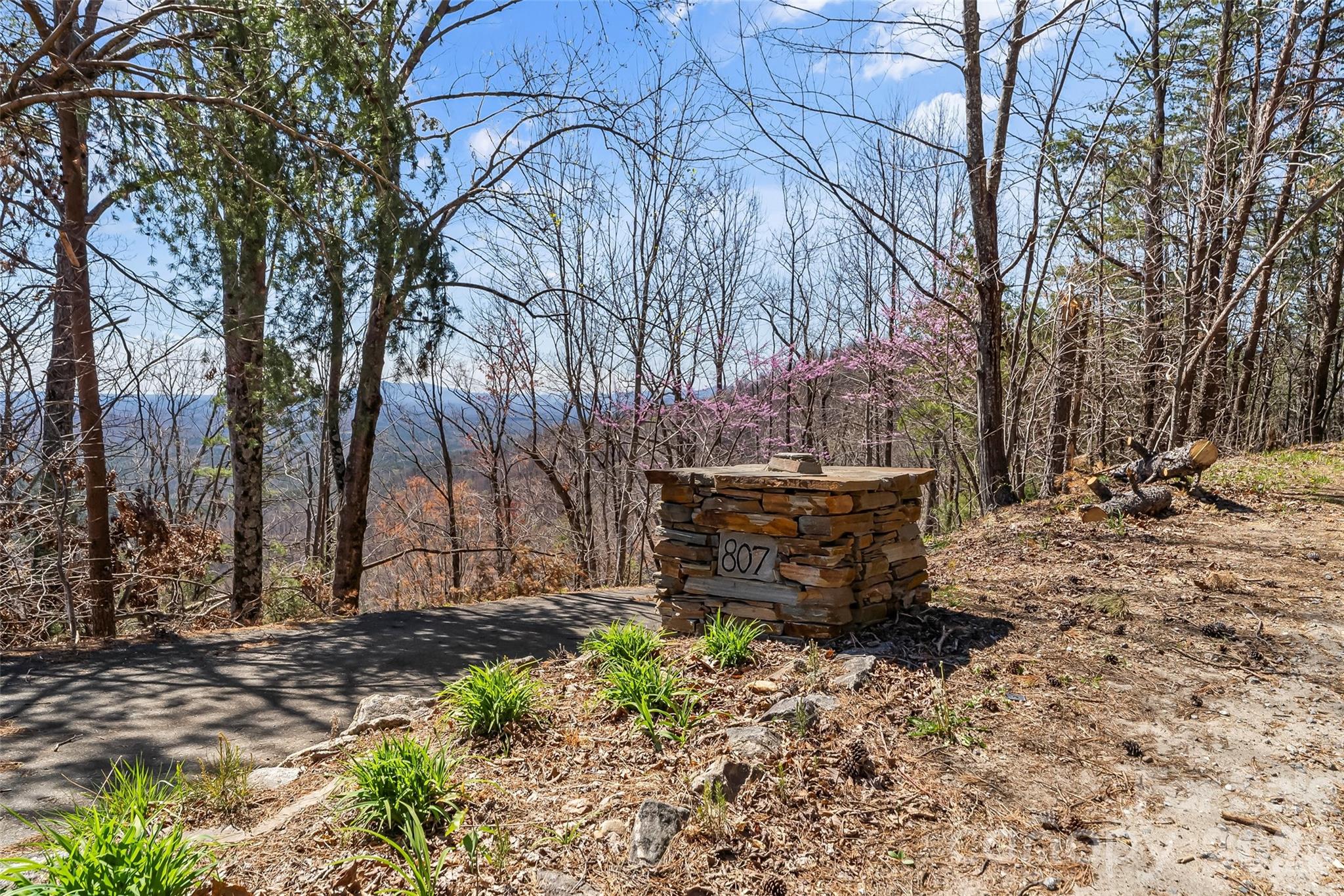 Pinnacle Ridge - Residential