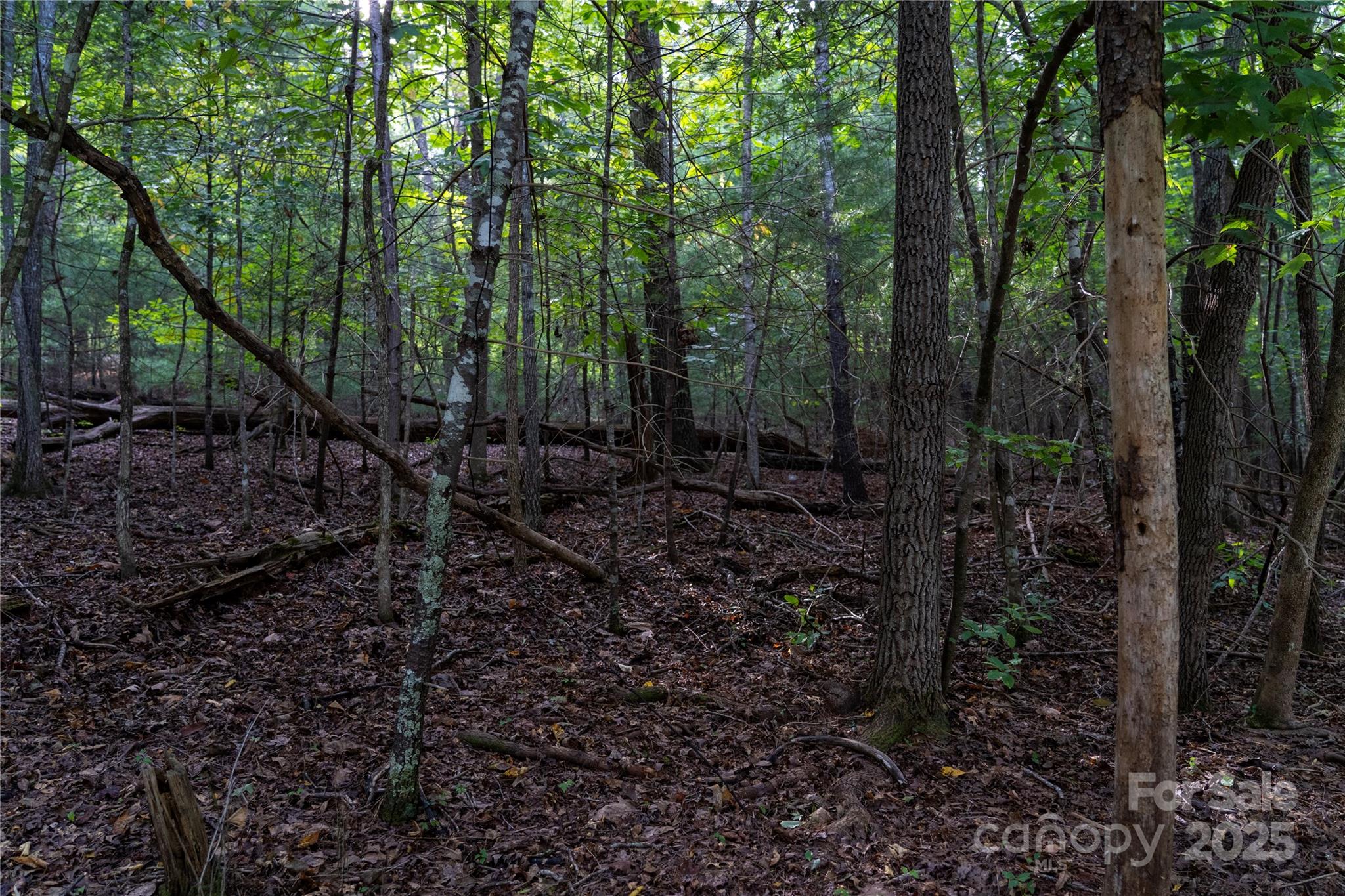 0 Swans Way E 249&250