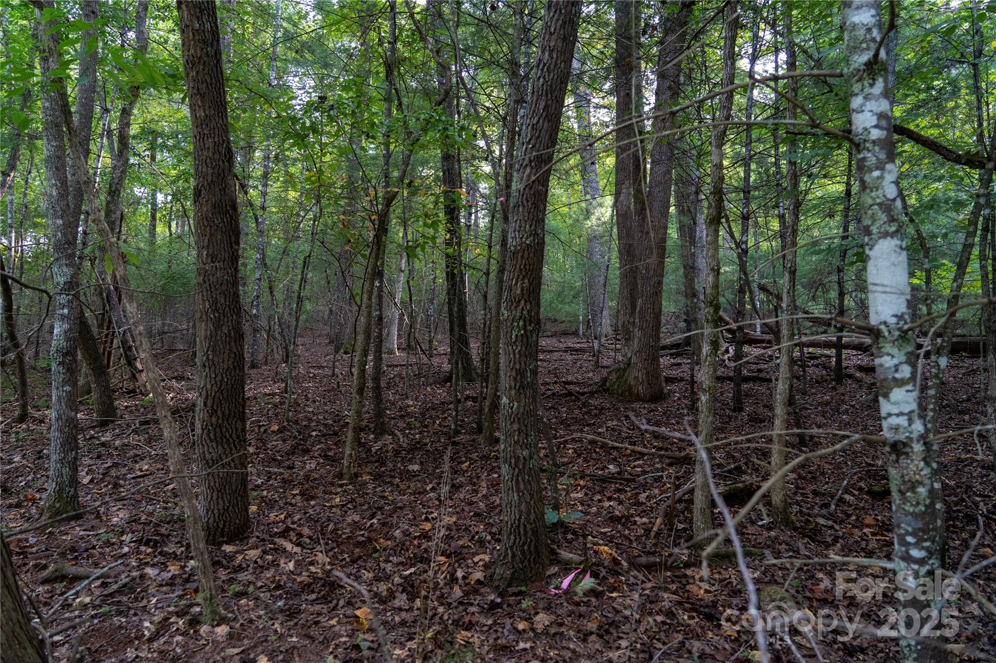 Riverbend at Lake Lure - Land