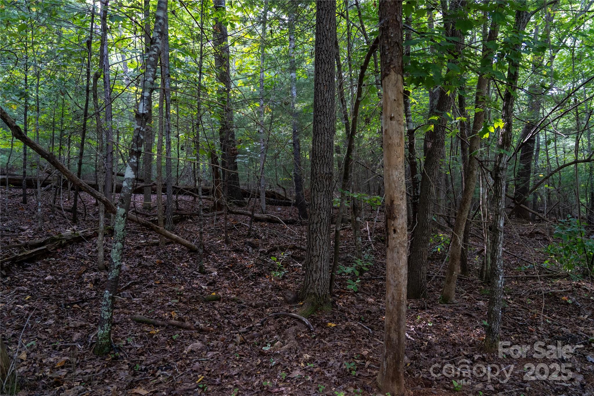 0 Swans Way E 249&250