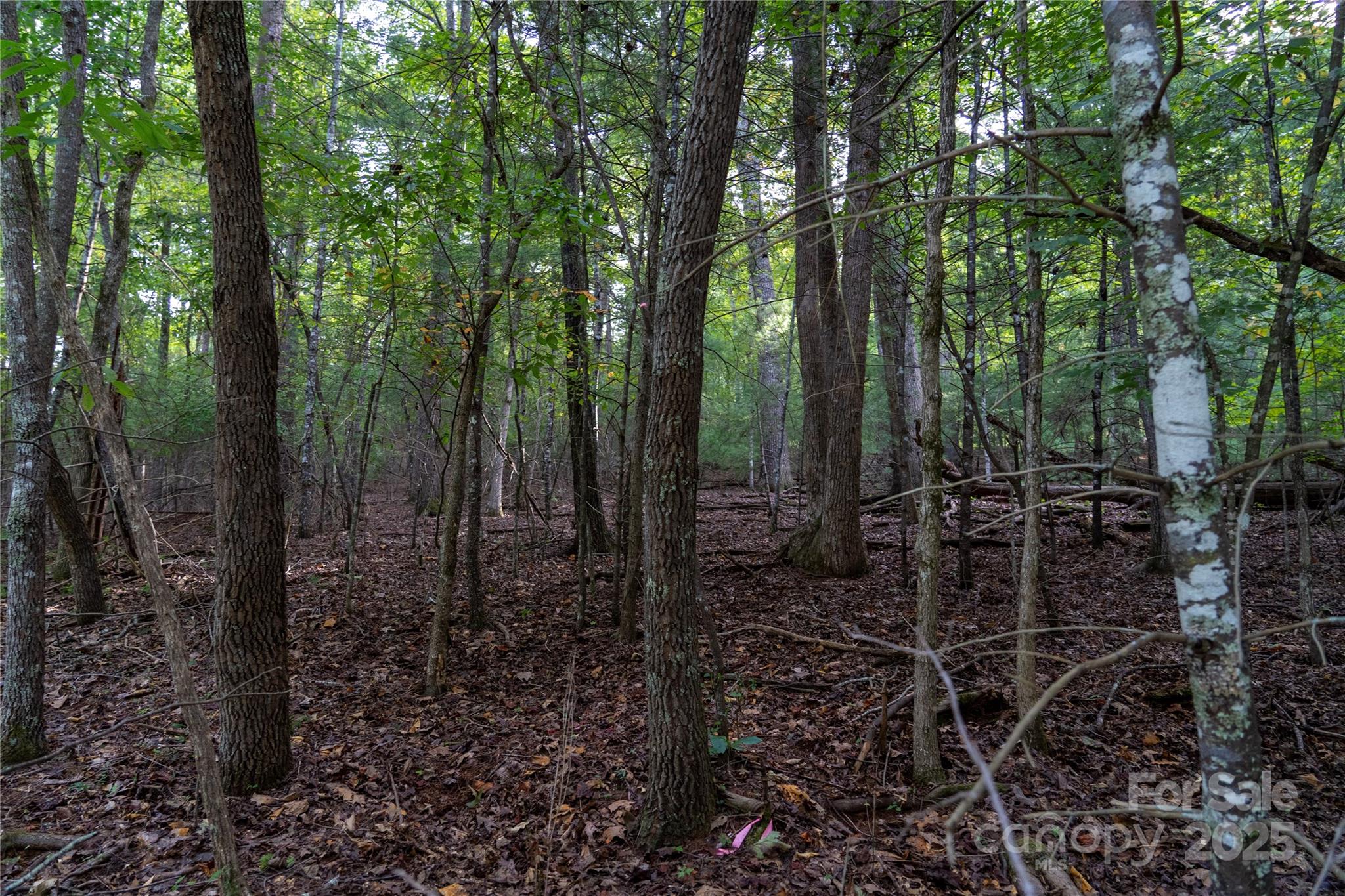 Riverbend at Lake Lure - Land
