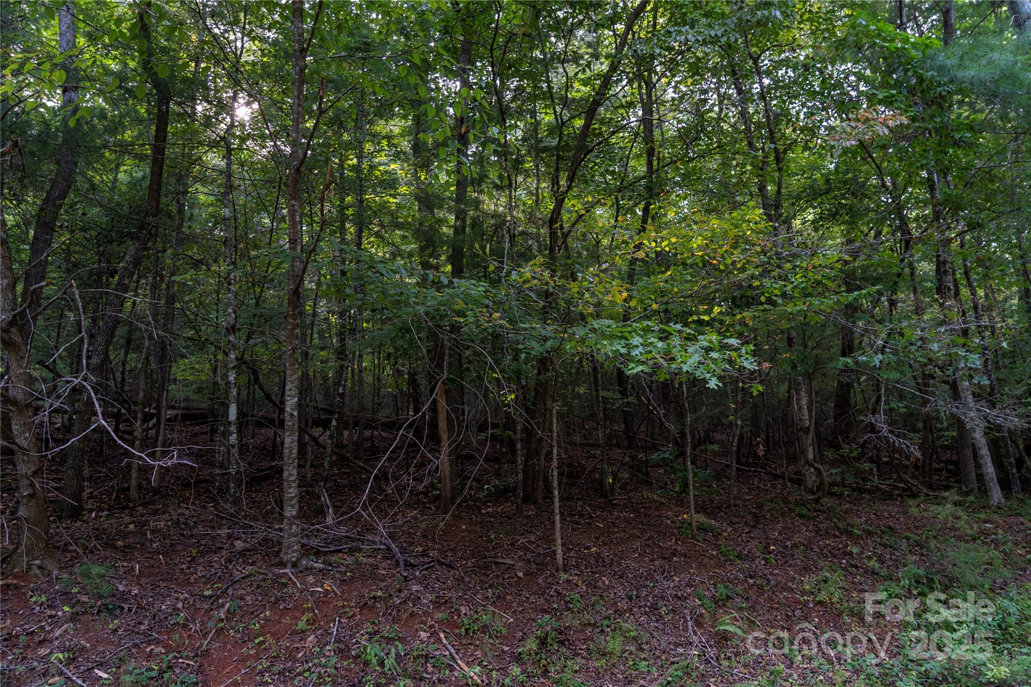 0 Swans Way E 249&250