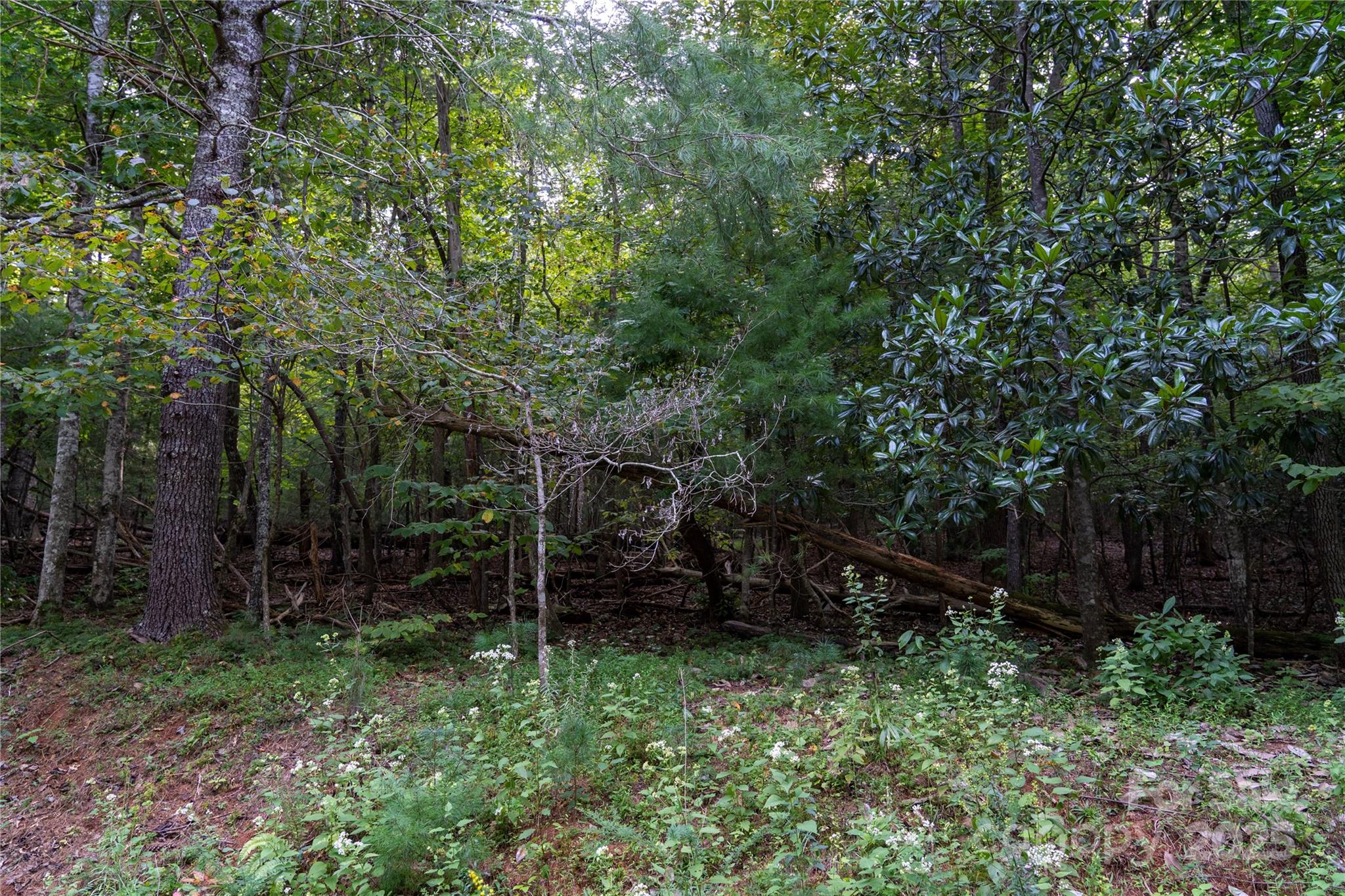 Riverbend at Lake Lure - Land