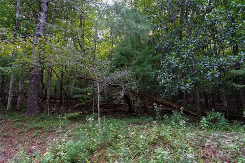 0 Swans Way E 249&250 Lake Lure NC 28746