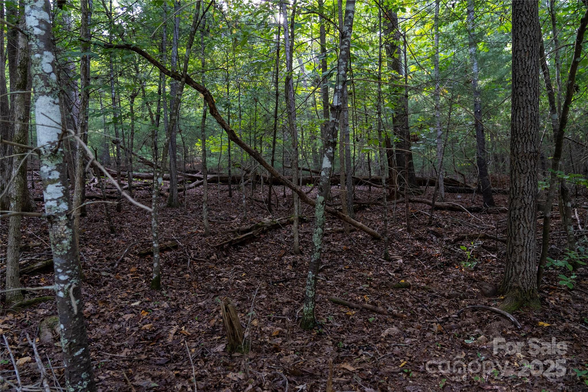 0 Swans Way E 249&250