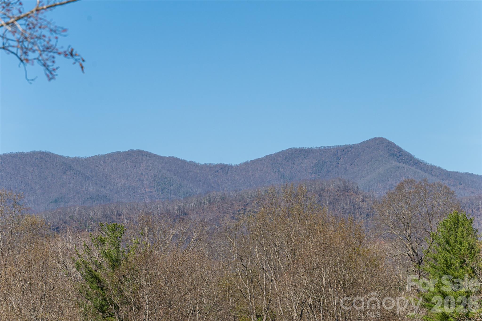 162 Riverbend Forest Drive