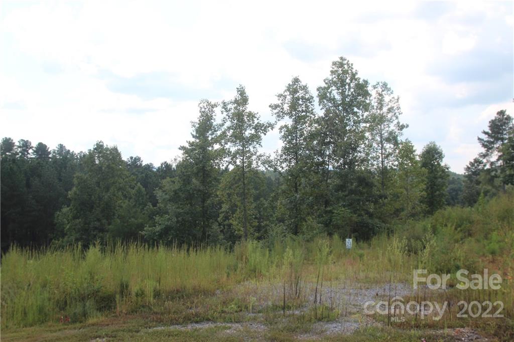 Island Pointe at Lake Vistas - Land