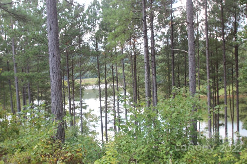 Island Pointe at Lake Vistas - Land