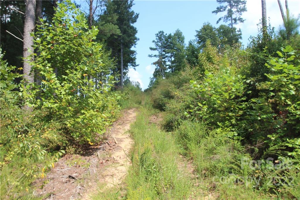 Island Pointe at Lake Vistas - Land