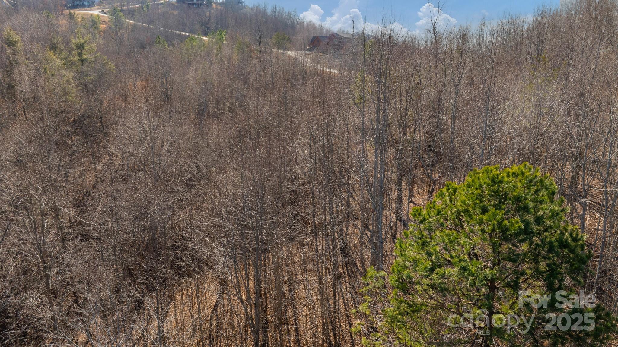 TBD Coal Pit Mountain Road