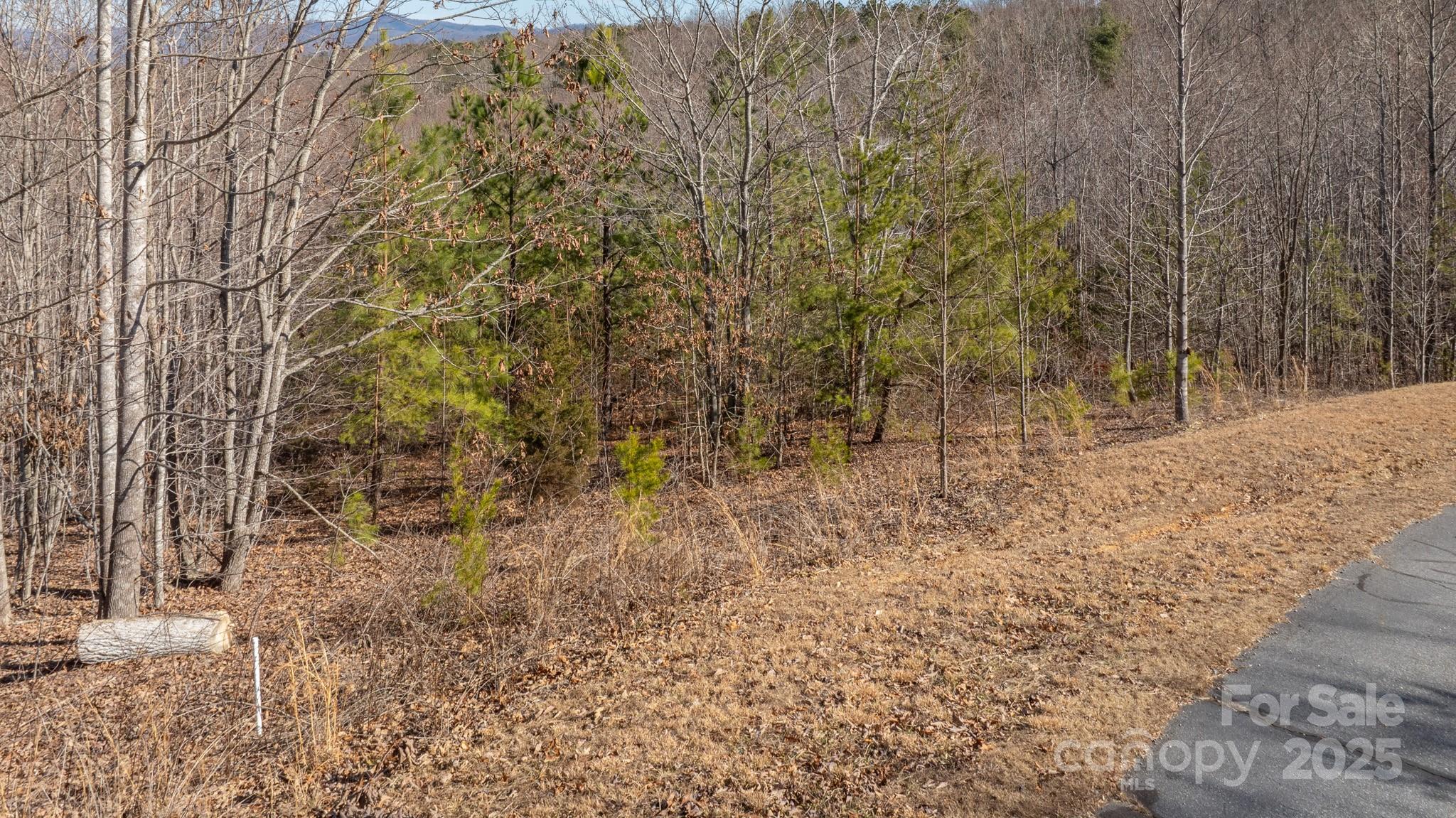 TBD Coal Pit Mountain Road