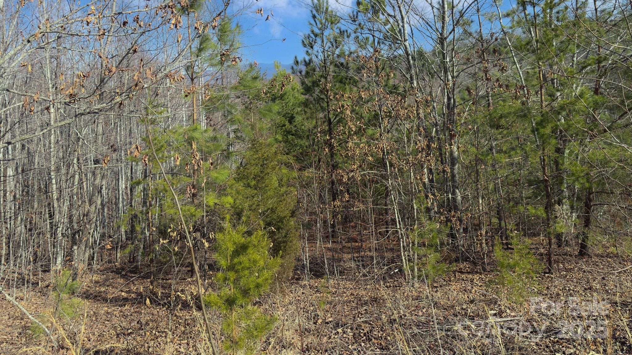 Grandview Peaks - Land