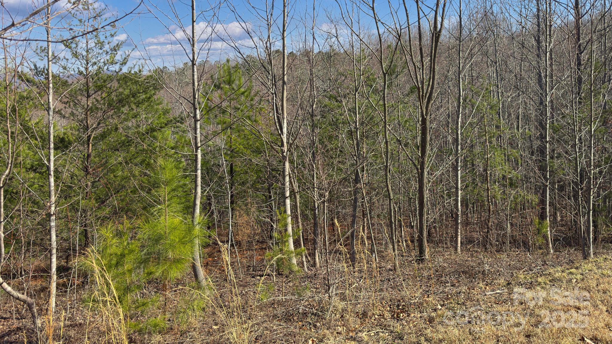 Grandview Peaks - Land