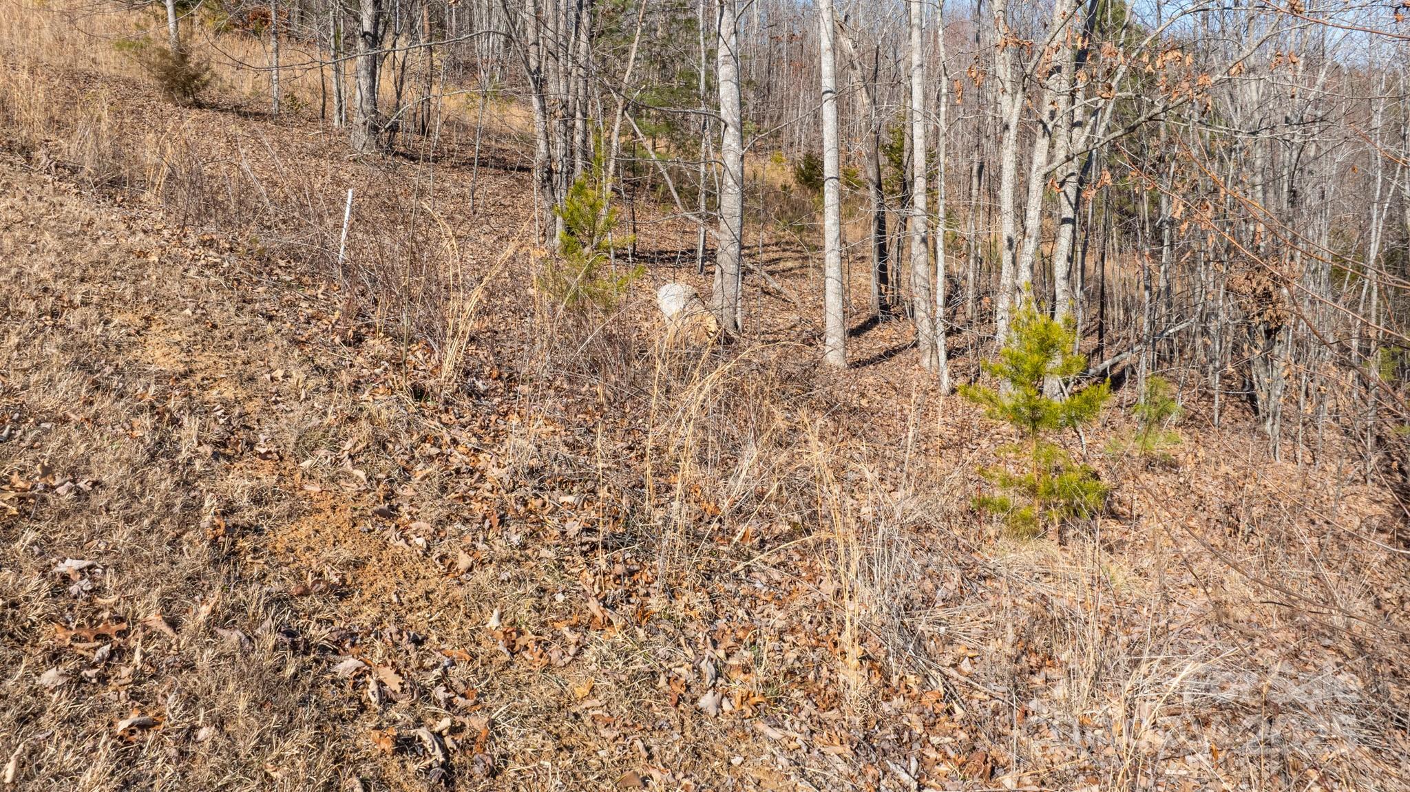 Grandview Peaks - Land