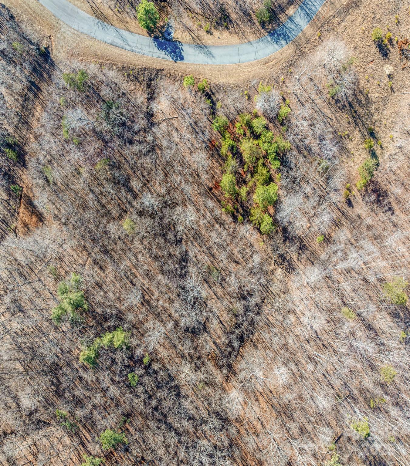 TBD Coal Pit Mountain Road
