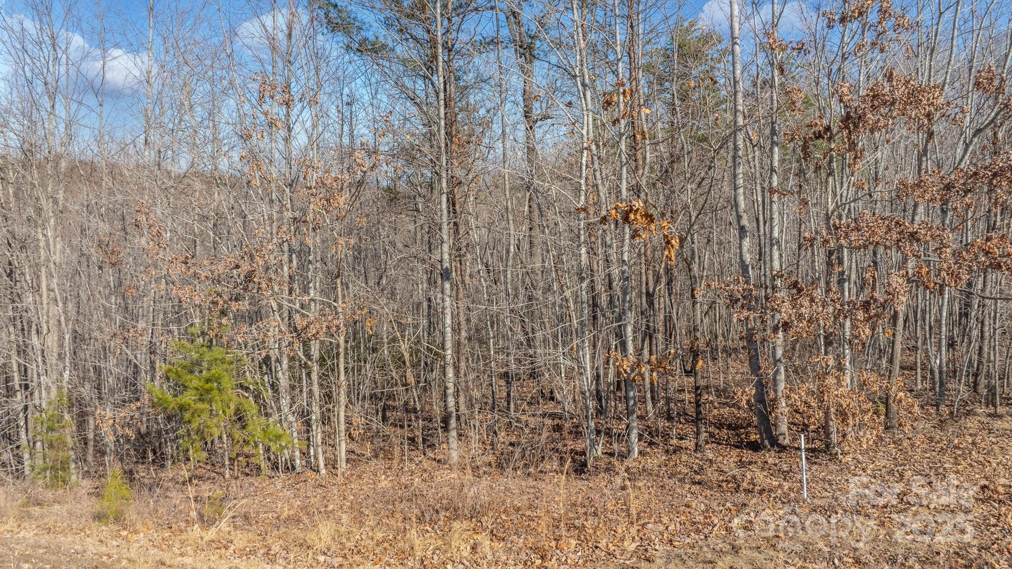 Grandview Peaks - Land