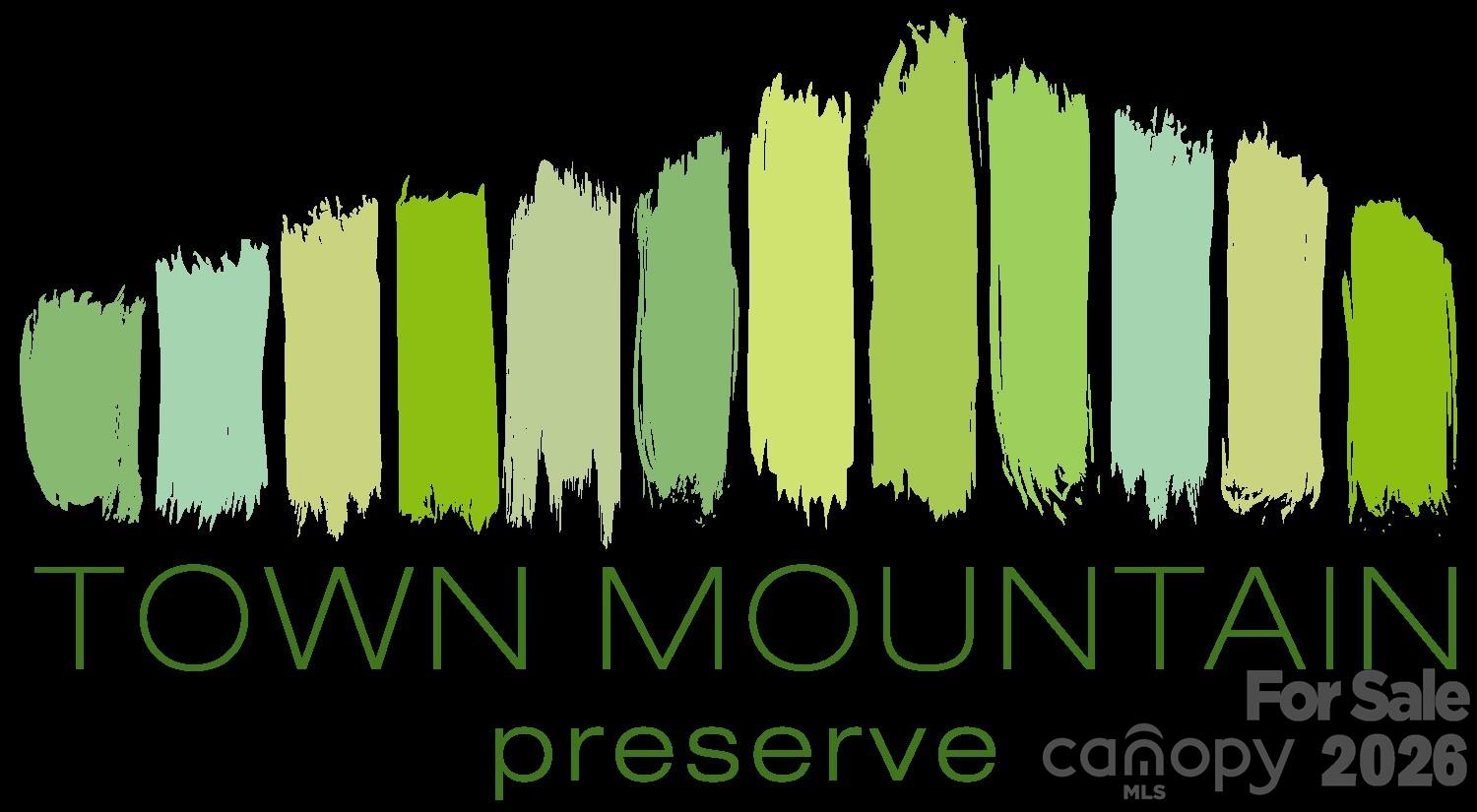 Town Mountain Preserve - Land