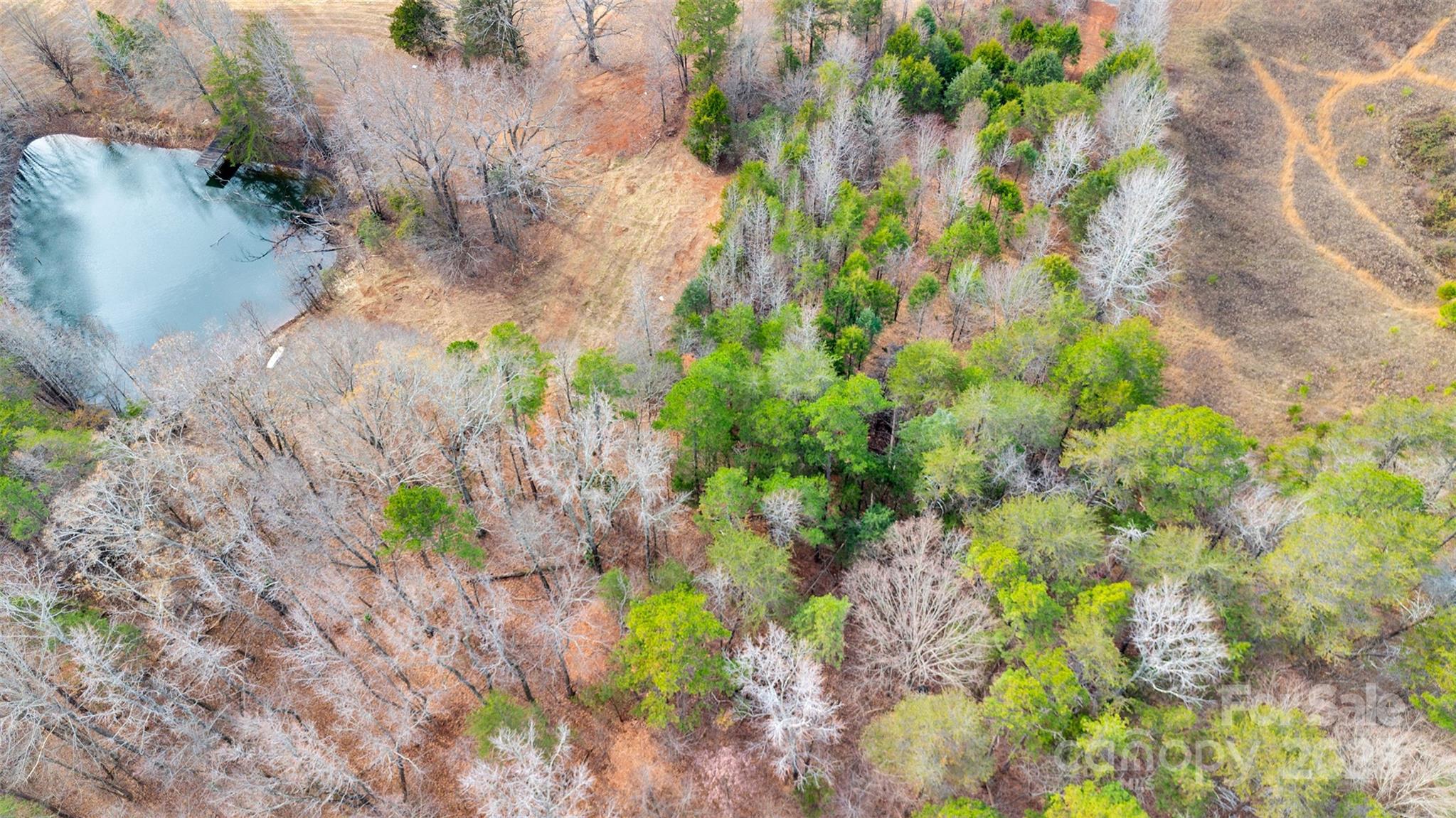 10712 Connell Road 3