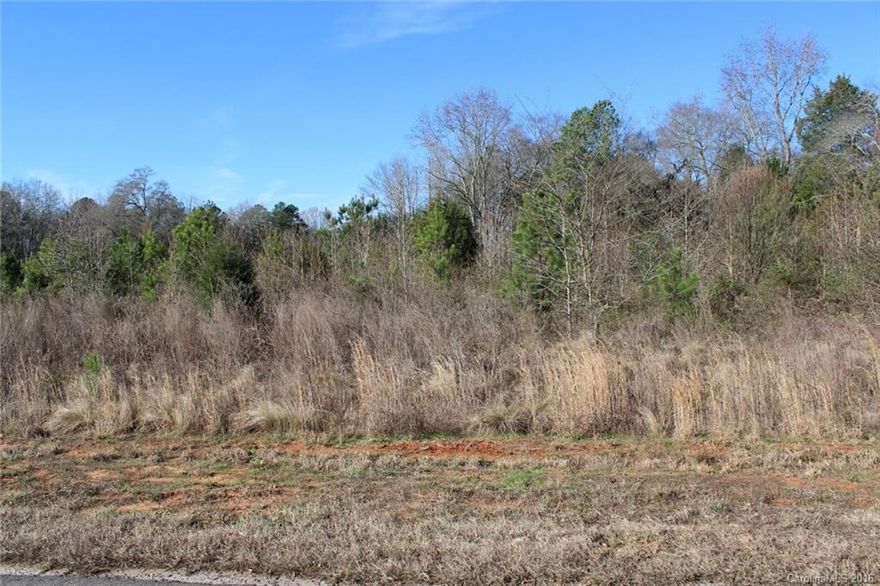 1 acre corner lot in the Gates at Eastview.  Located directly across the street from York Prep Academy.  Seller obtained title through delinquent tax auction.  Quiet title has been completed.  Listing agent related to seller.  Bring offers!