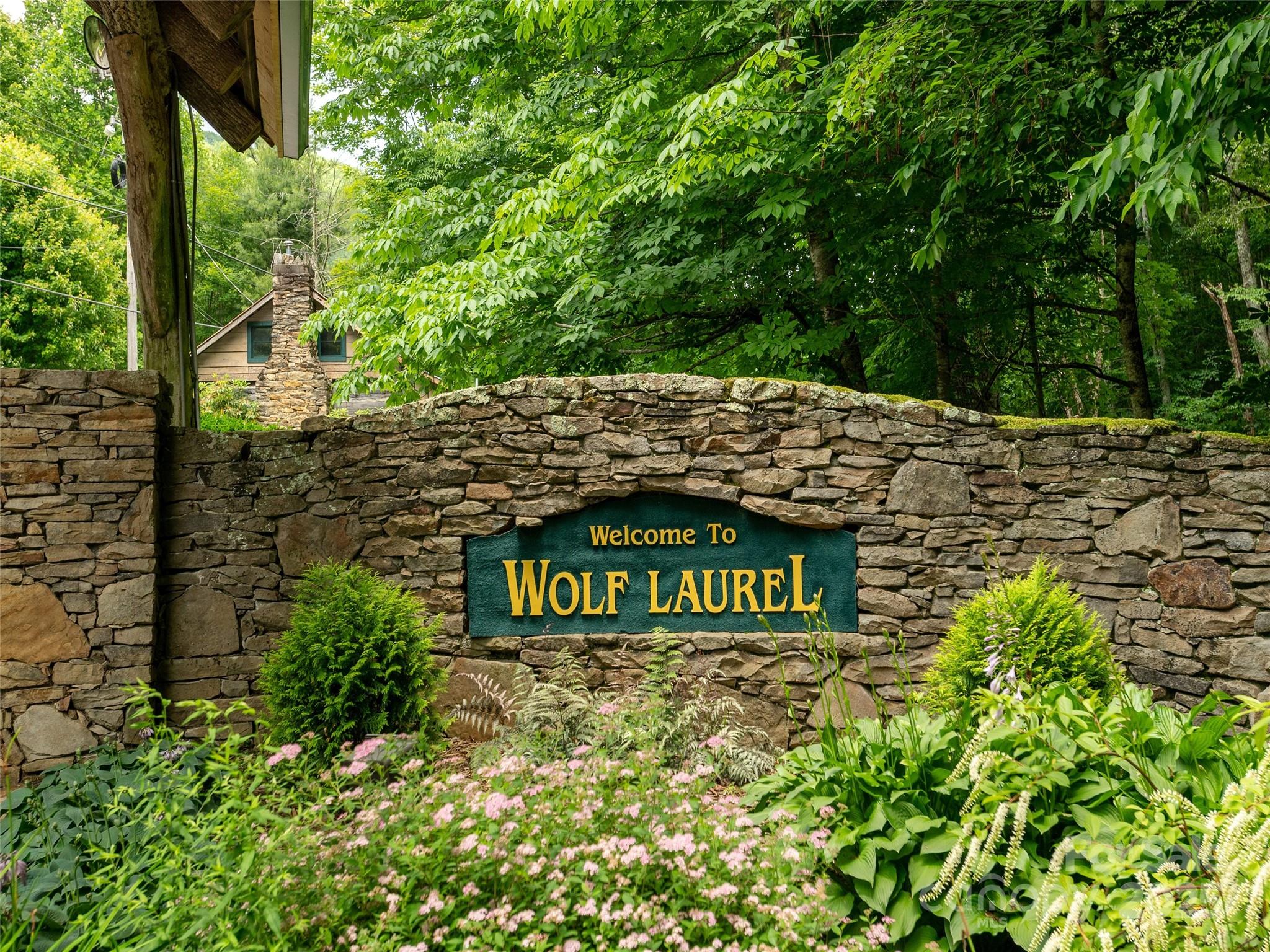 Wolf Laurel - Land