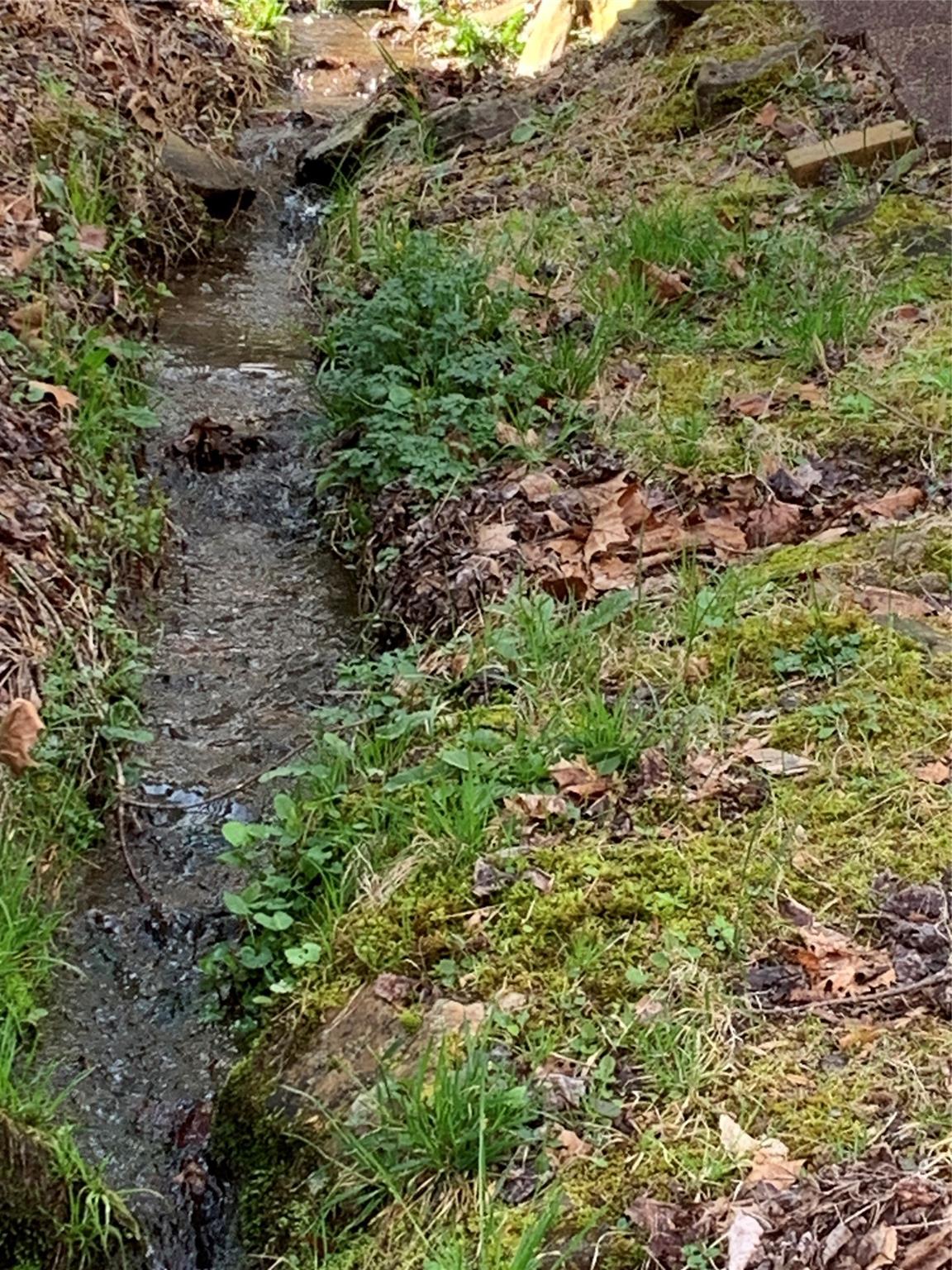 Woodlands Village - Residential