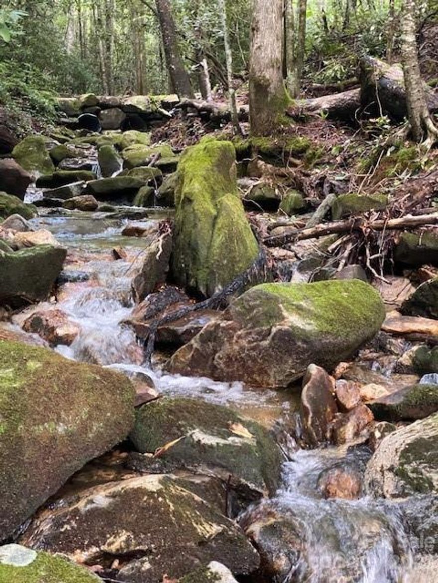 This magical 67.92 acre offering is nestled in the captivating valley between The Divide and The Crest. This unique property offers a harmonious blend of serenity, adventure, and beauty. Less than half a mile from Panthertown Valley, hidden just off West Christy Trail in Sapphire Valley, this breathtaking estate extends a warm invitation to those seeking both peace and excitement. The heart of the property features a beautiful one-room furnished cabin set aside a bold creek offering immediate relaxation. Hiking trails have been cut along the creek and a large firepit has been built at another point along the creek as a gathering spot for friends and family. 50 acres of the property are in the HC Land Trust with 6 beautiful residential lots identified for subdivision. Sapphire Valley Master Association membership is optional allowing the possible availability of a multitude of amenities which would enhance the living experience with additional leisure options.