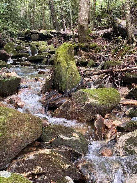 619 Speckled Feather Pass, Sapphire, NC, 28774
