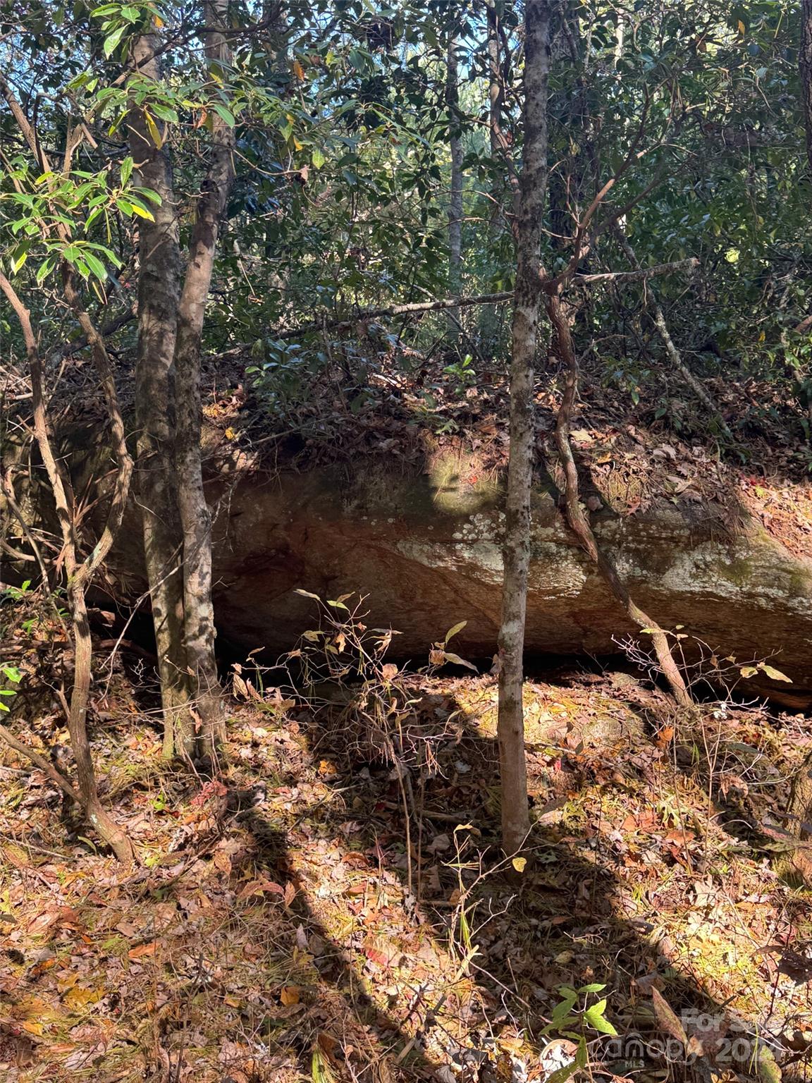 Stones Lake - Land