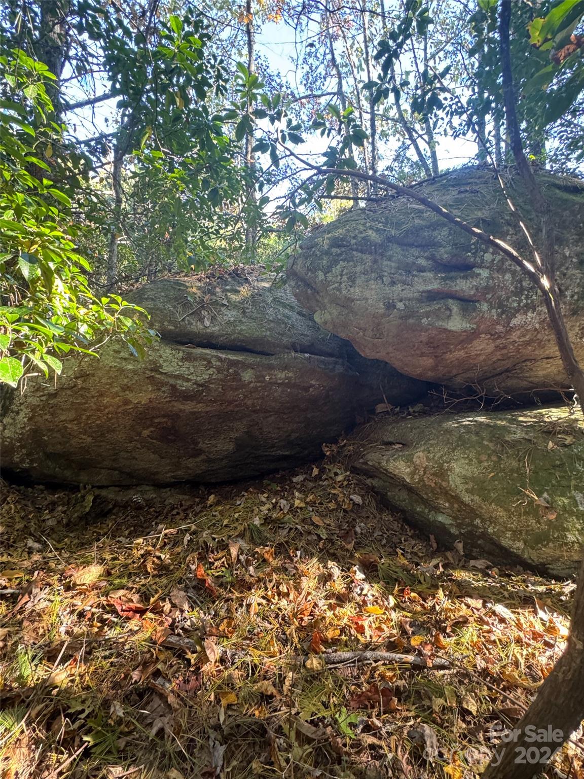 Stones Lake - Land