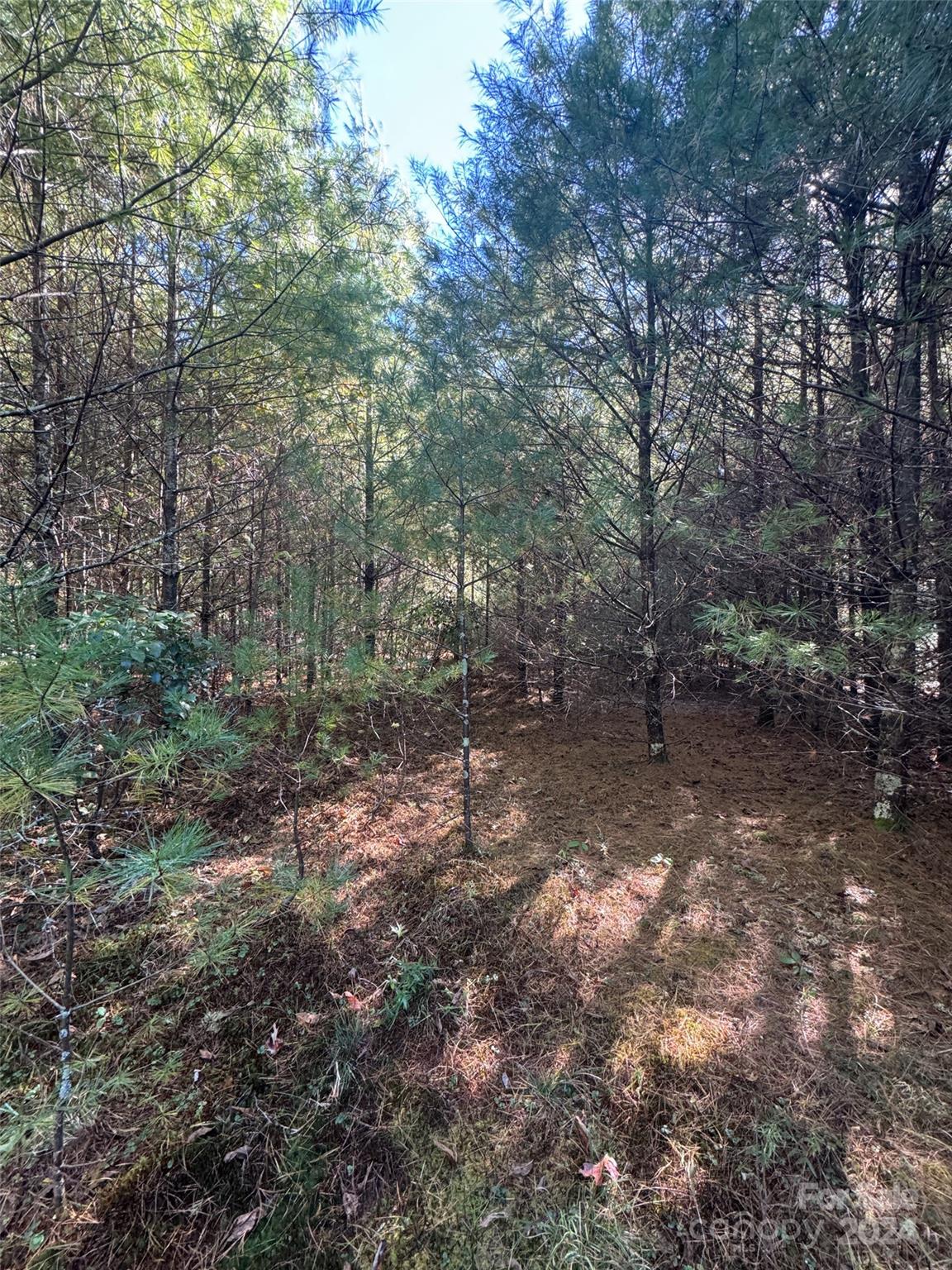 Stones Lake - Land