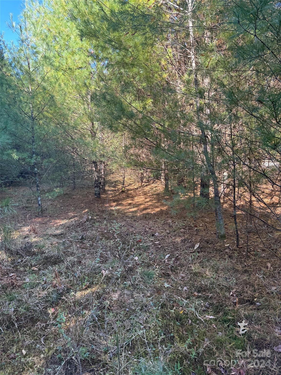 Stones Lake - Land