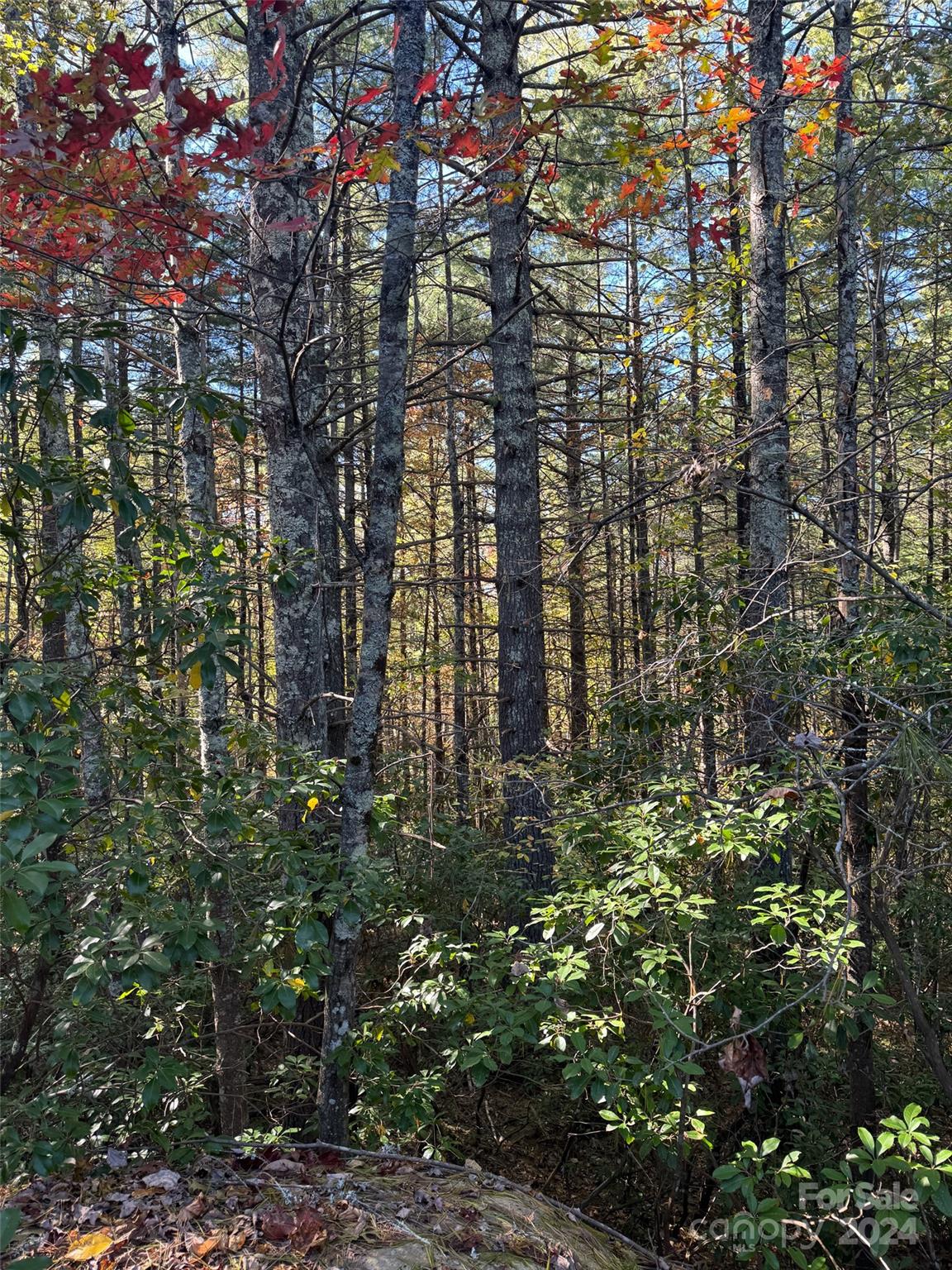 Stones Lake - Land