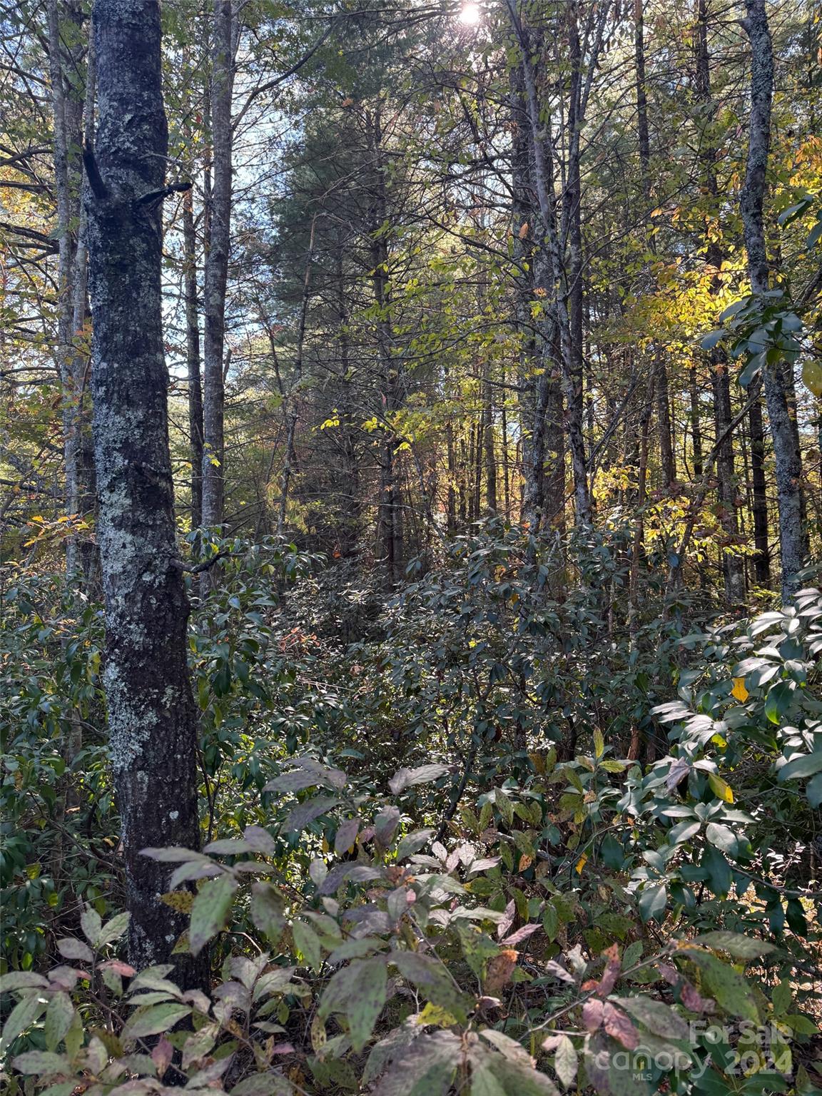 Stones Lake - Land