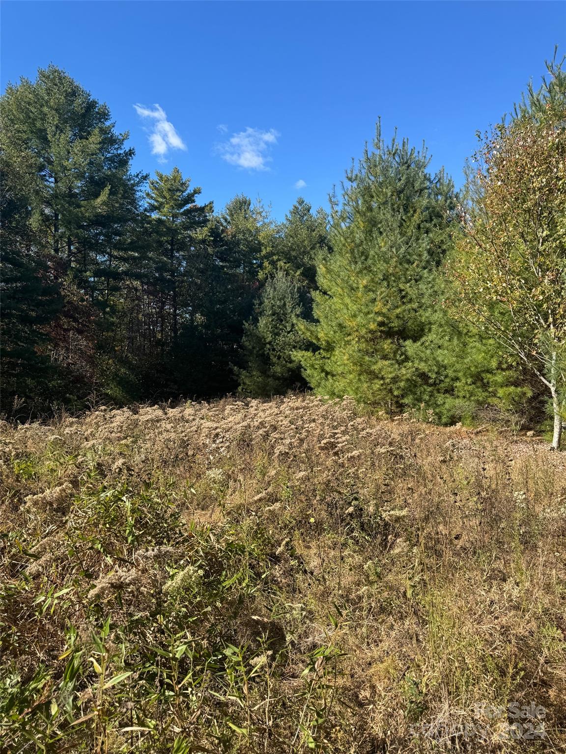 Stones Lake - Land