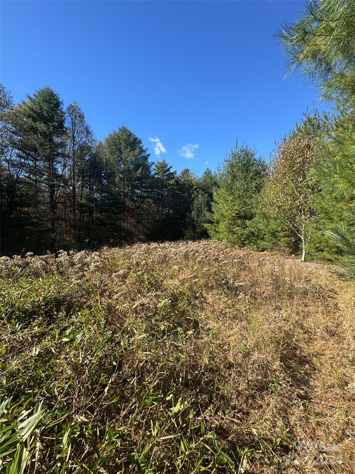 Stones Lake - Land