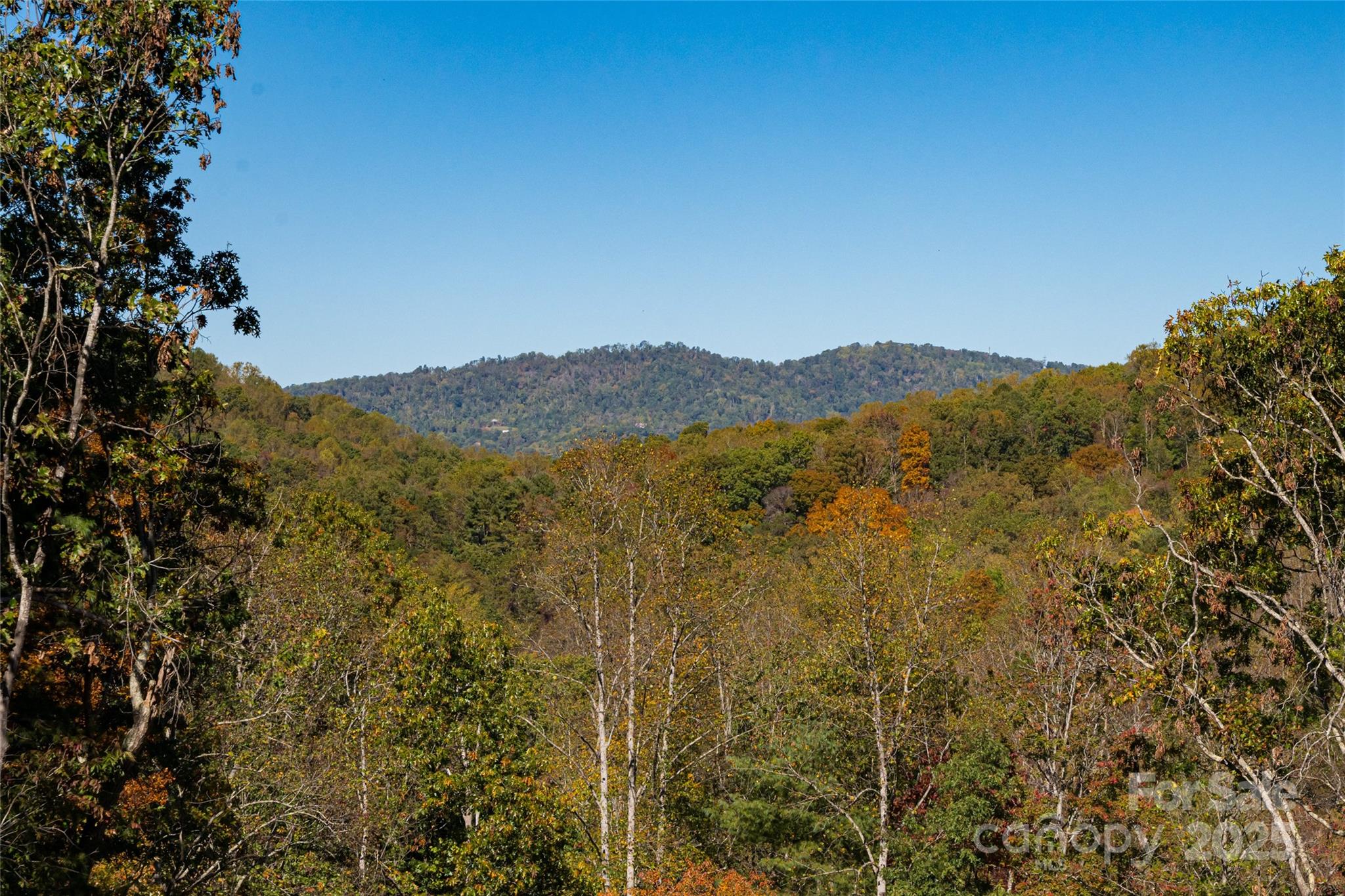 6 Laurel Trail