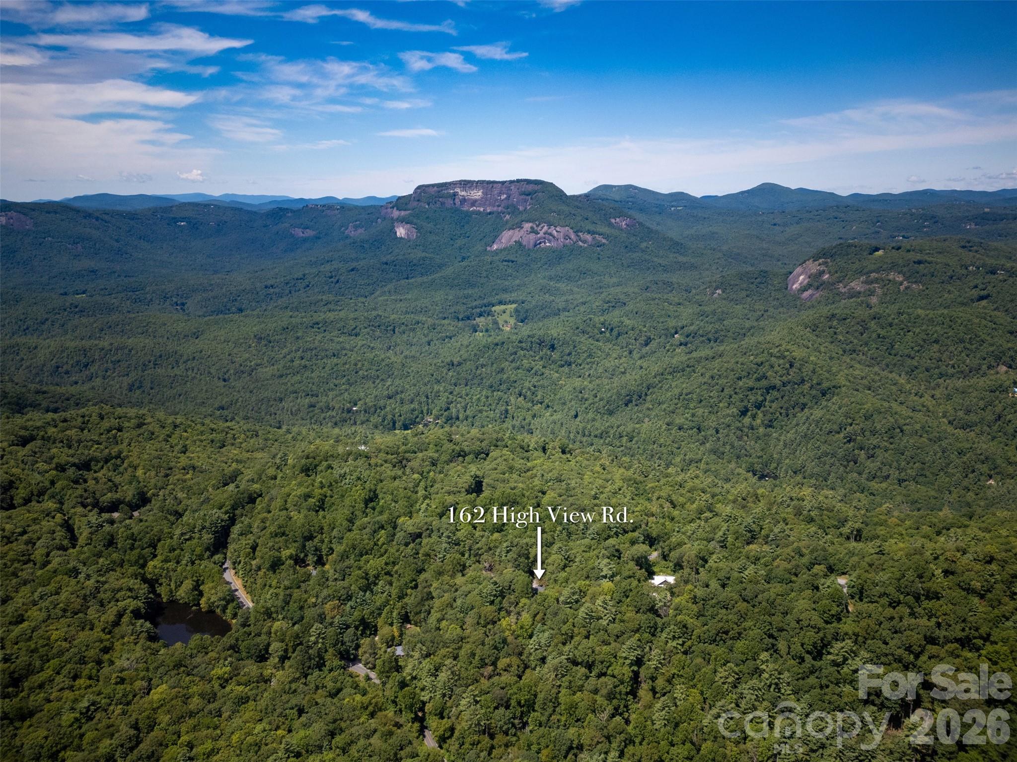 Found Forest - Residential
